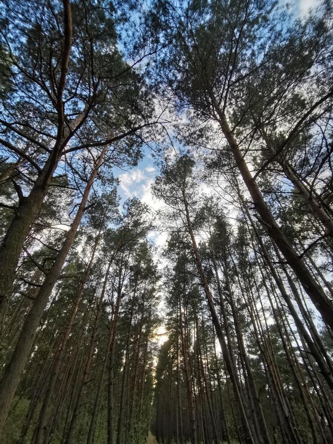M&K Apartamenty Zielony Zakatek - Sobieszewo Gdansk Bagian luar foto