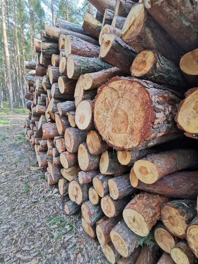 M&K Apartamenty Zielony Zakatek - Sobieszewo Gdansk Bagian luar foto
